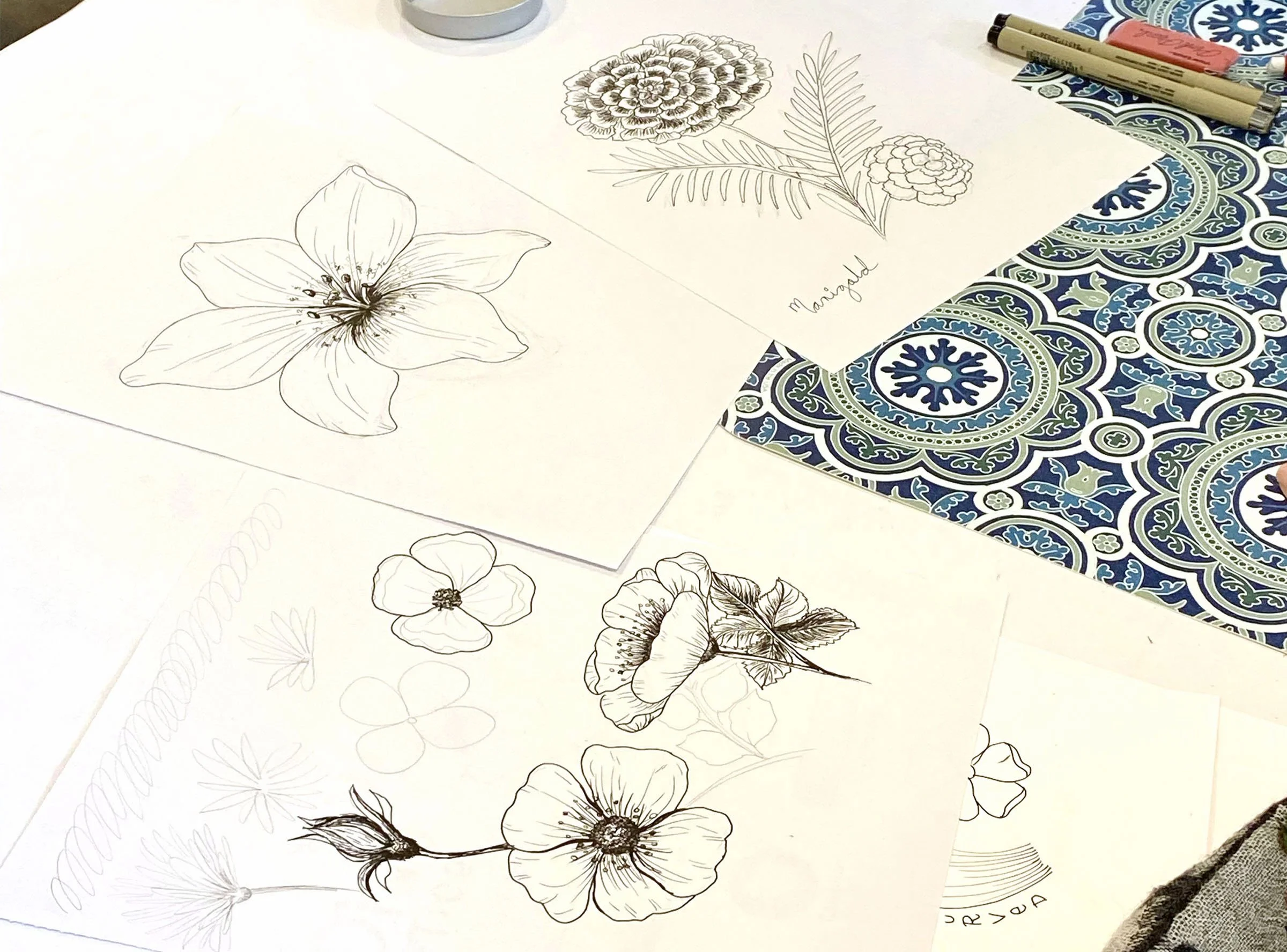 IMG_1662 Floral Illustration 10:22.JPG