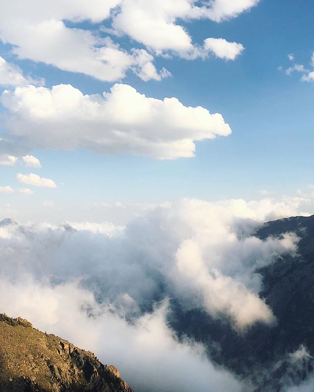 I see your sea level, and I raise you 12,000 ft. .
.
.
Driving above the clouds on #oldfallriverroad in #rockymountainnationalpark for #werlingweek 2018