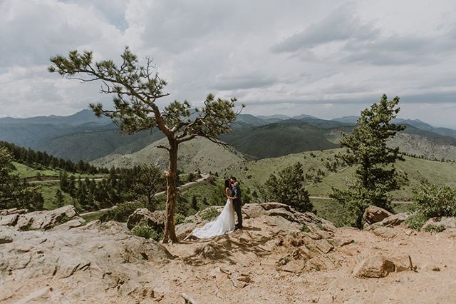 Back on June 8, my favorite person in the world and I did a thing. It was the best, happiest day of my life, surrounded by our favorite things: friends, family, Maple, art, a great band, food trucks, ice cream, spectacular views, and of course, lots 