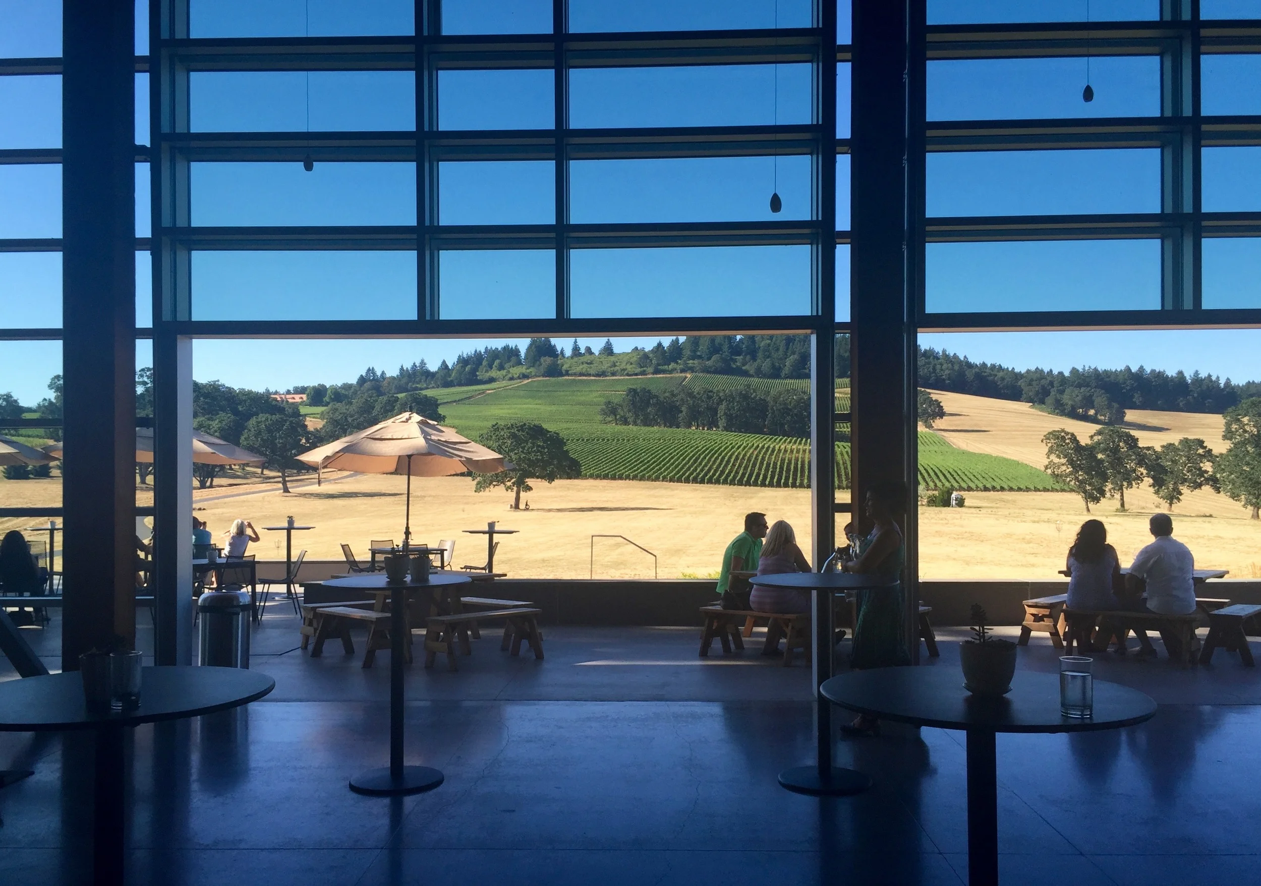 The view from Stoller Family Estates