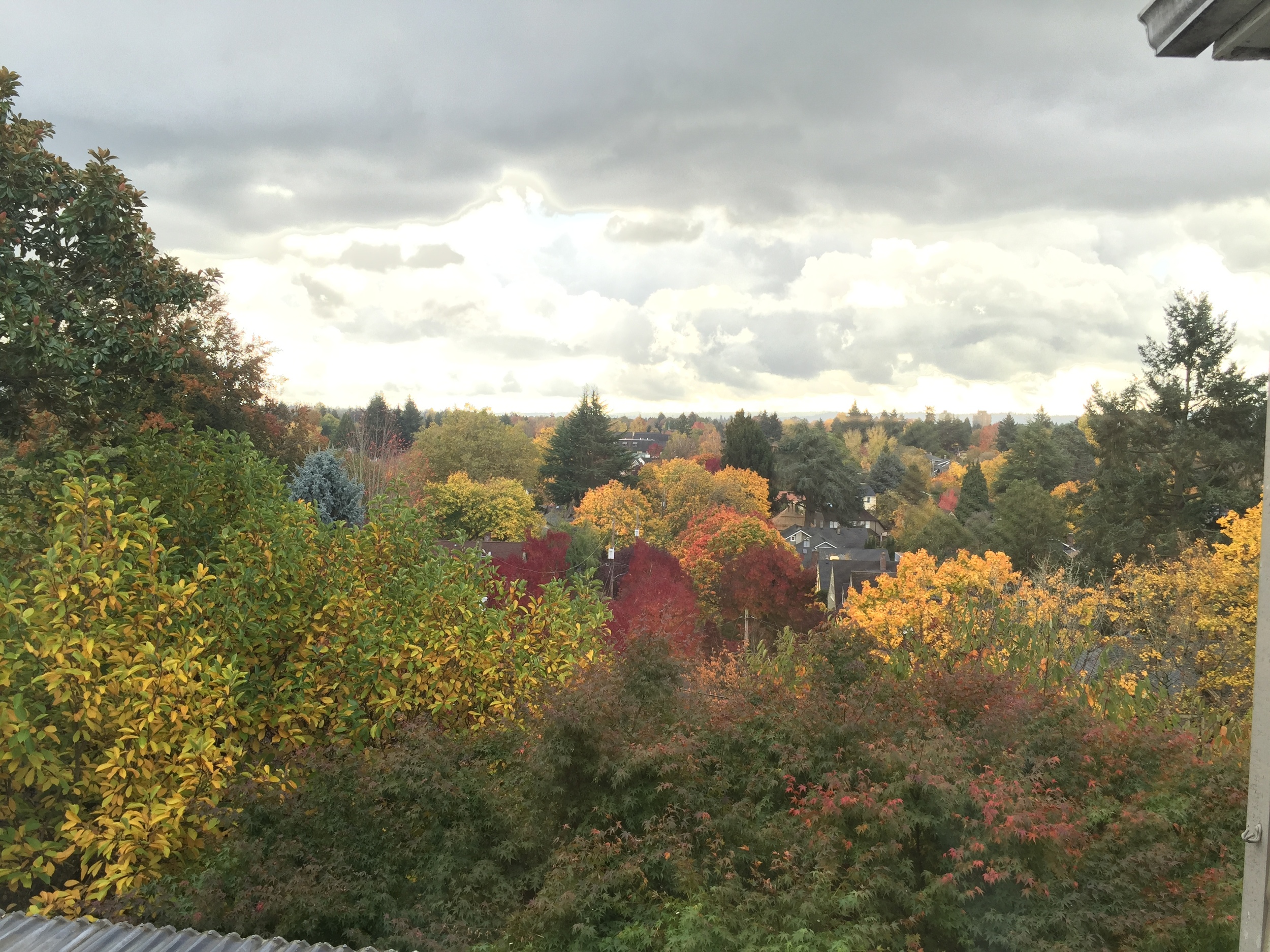 One of the first things that I notice in a home is always the view. This home on the Alameda Ridge in NE Portland had fantastic views of Portland, and the fall colors just added to the view.