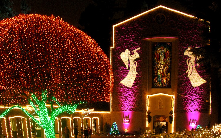 The Grotto
