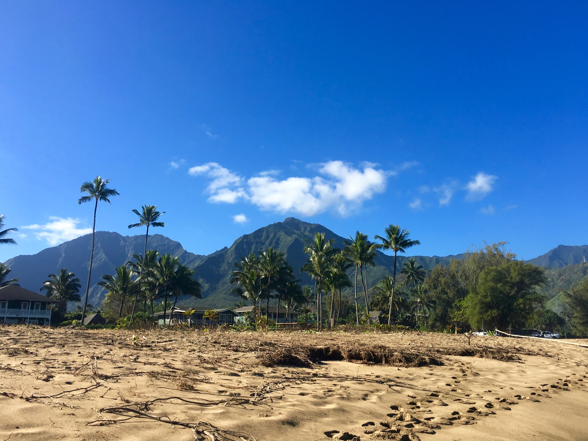 Gorgeous mountain views from Hanalei Beach. 