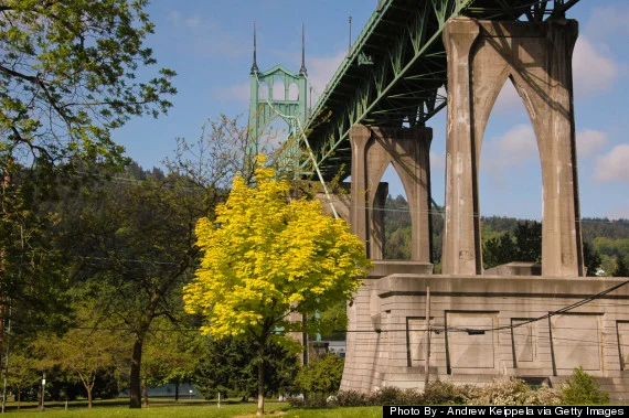 o-CATHEDRAL-PARK-PORTLAND-570.jpg