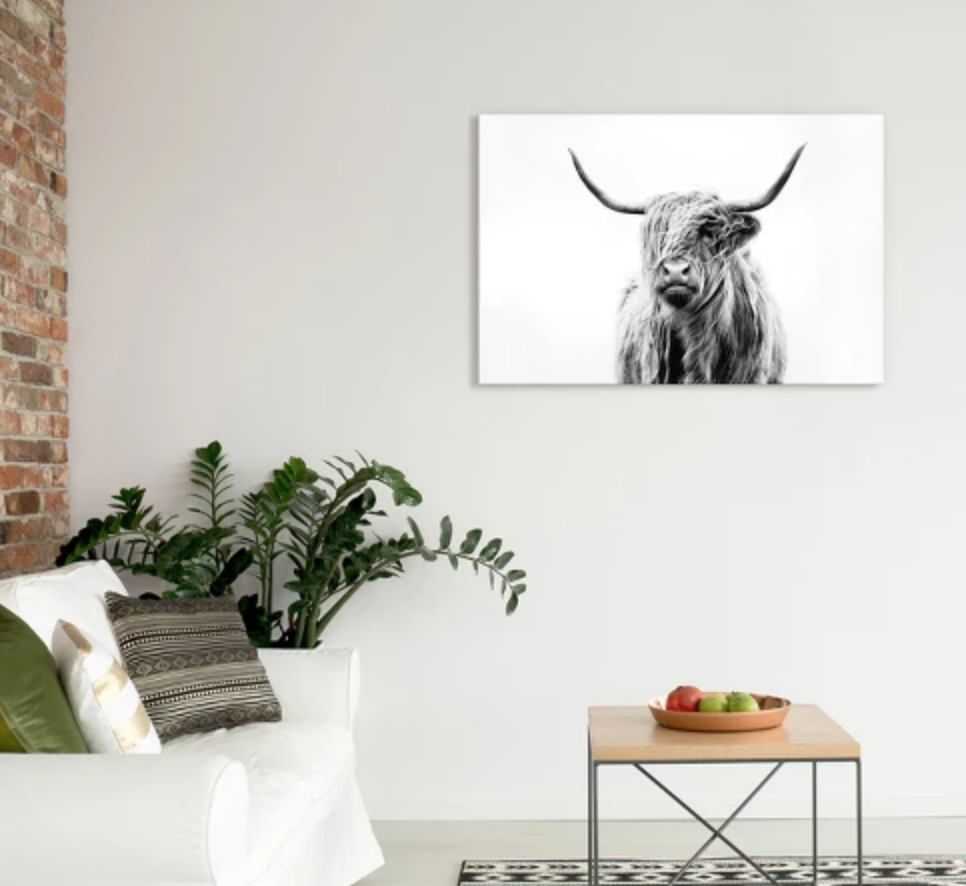 Portrait of a Highland Cow - $74.99