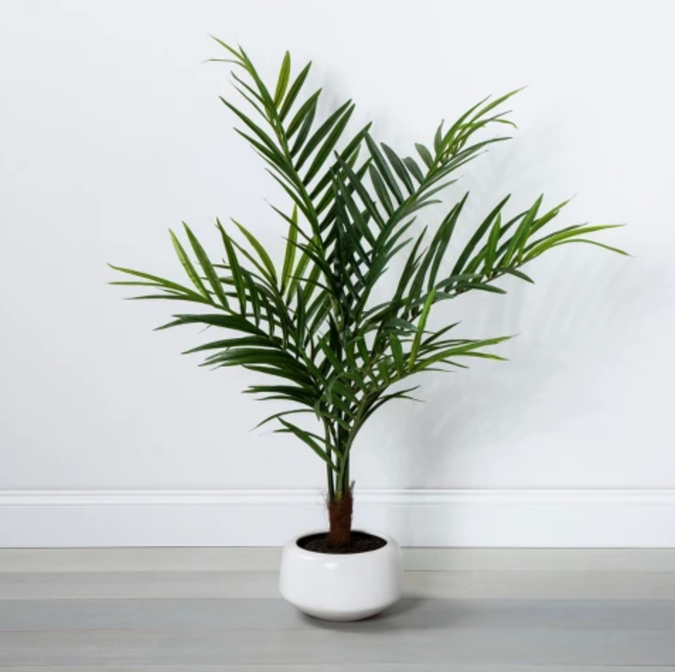 Artificial Palm in Pot - $79.99