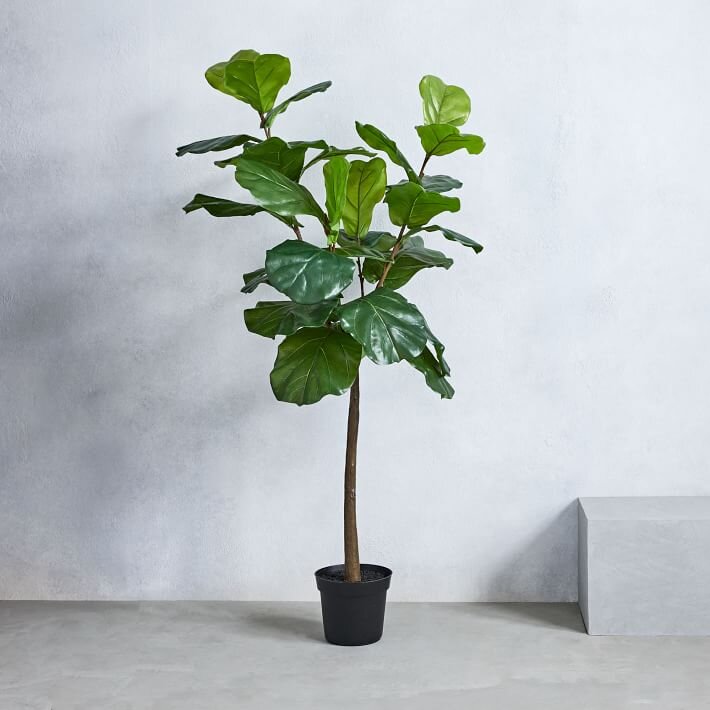 Faux Potted Fiddle Leaf Fig Tree - 5' - $200