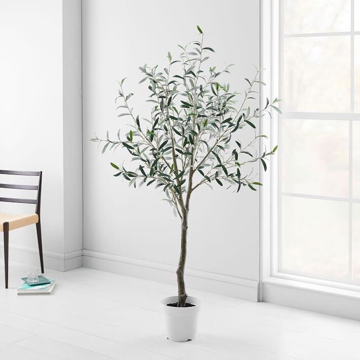 Faux Green Olive Tree - 6' - $250