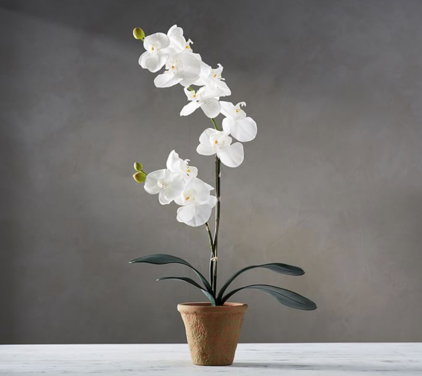 Faux Potted Orchid - $56