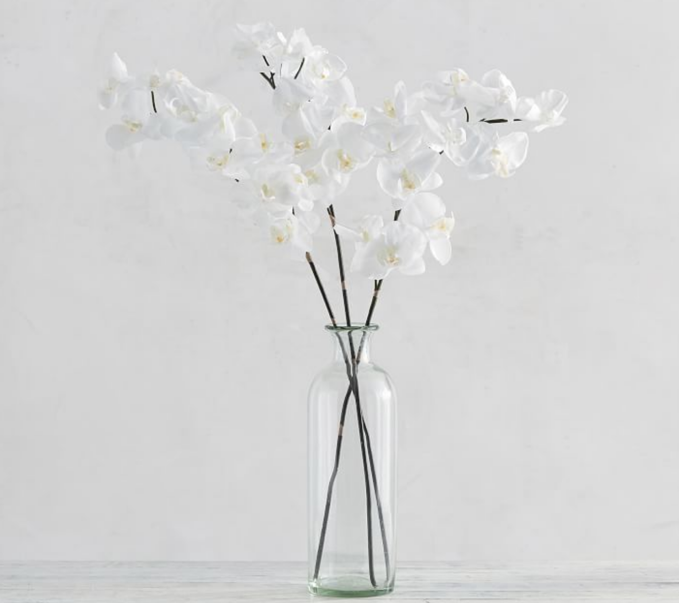 Faux Phalaenopsis Orchid Stem - White - $28