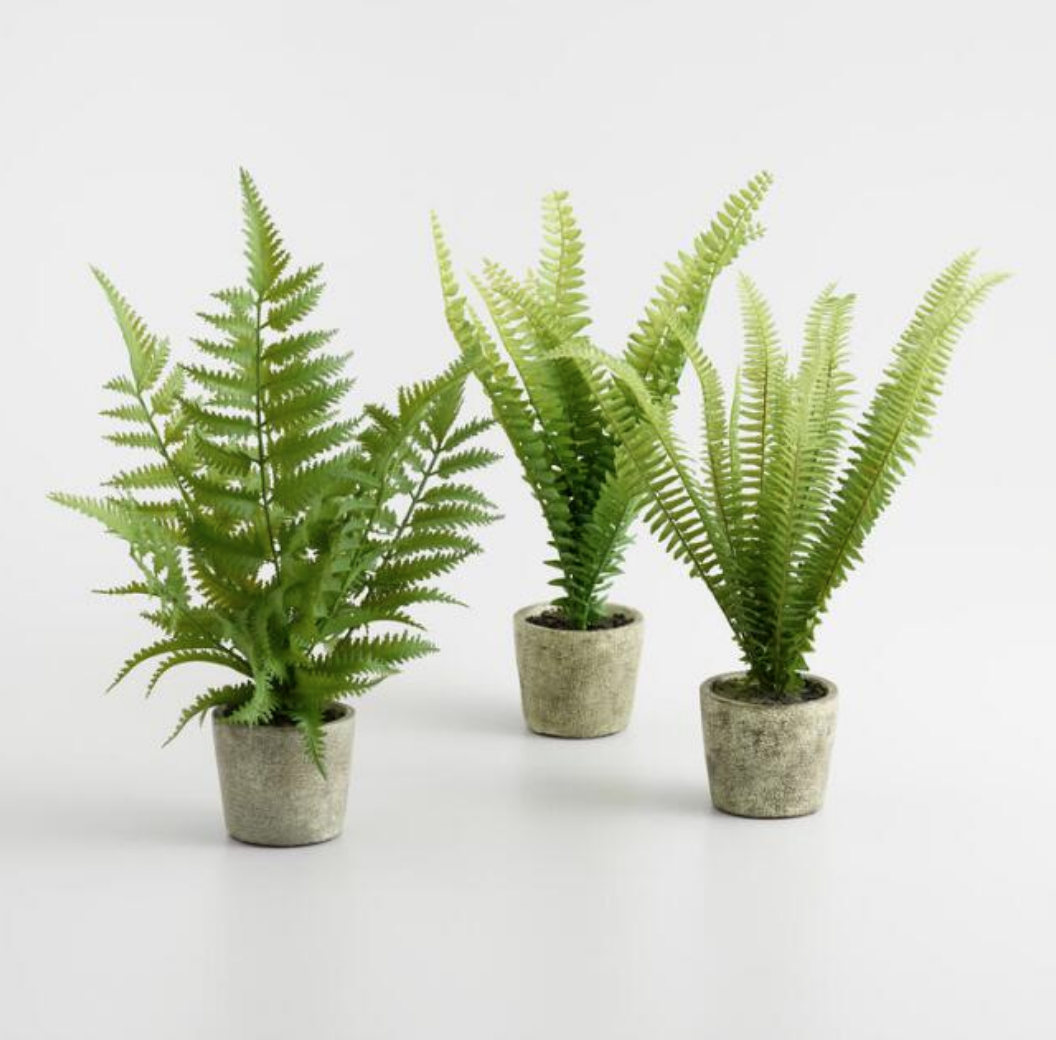 Mini Faux Ferns In Gray Pots Set Of 3 - $29.97