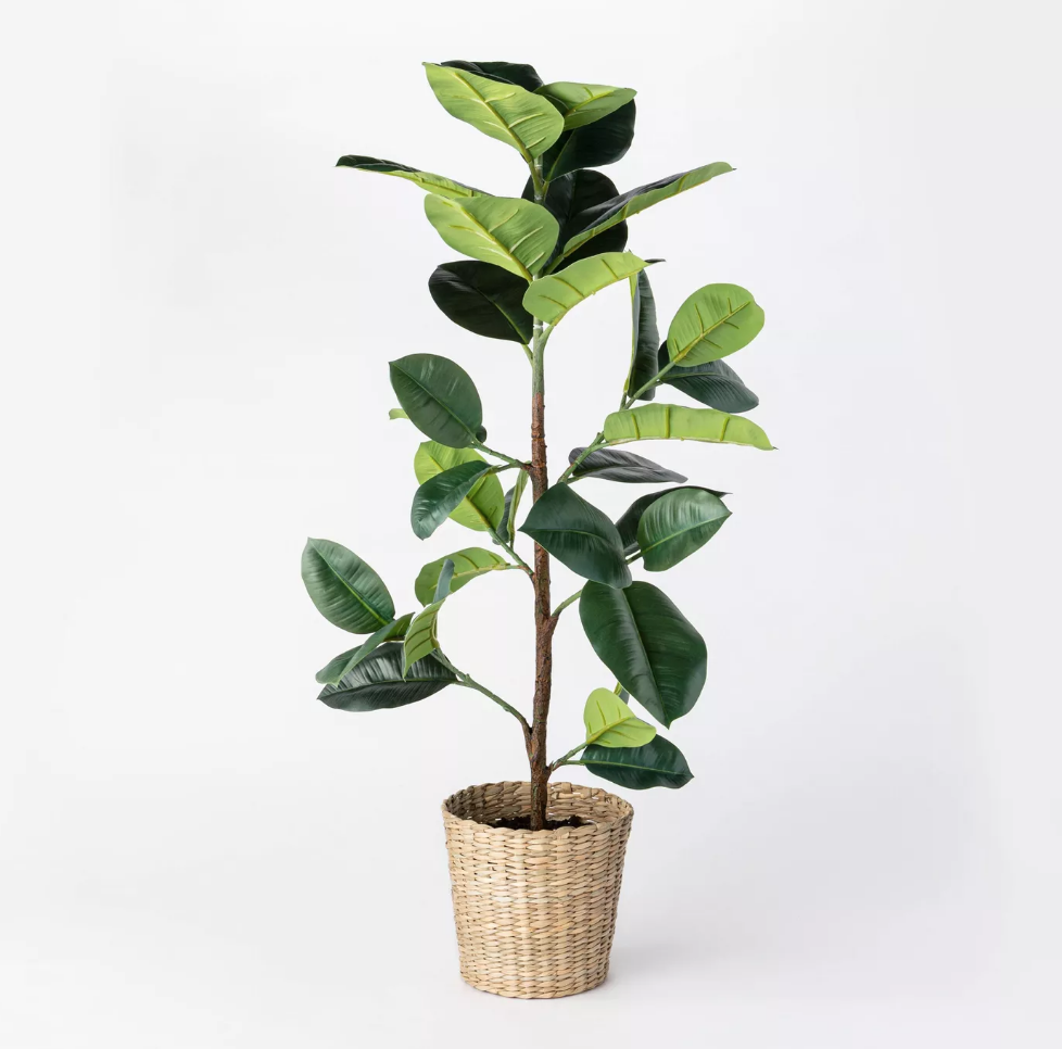Artificial Rubber Leaf Tree in Pot - $45 - Target
