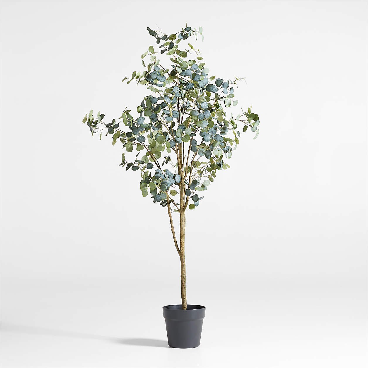 Faux Silver Dollar Eucalyptus Tree - Crate &amp; Barrel - $399