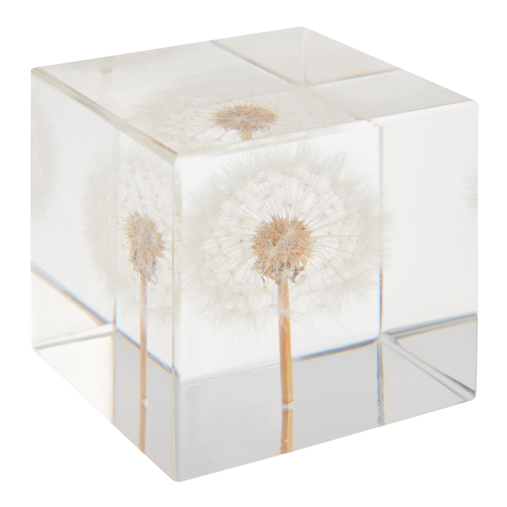 Square Resin Dandelion Paperweight - World Market - $19.99