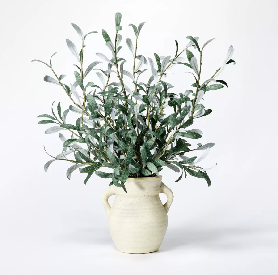 Target - $35 - Olive Leaf Arrangement