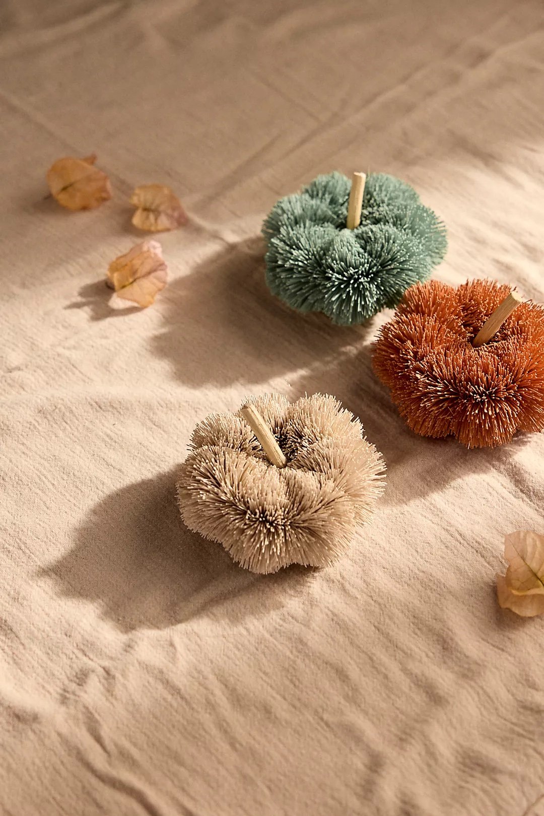 Brush Pumpkins, Set of 3 - $36 - Anthropologie