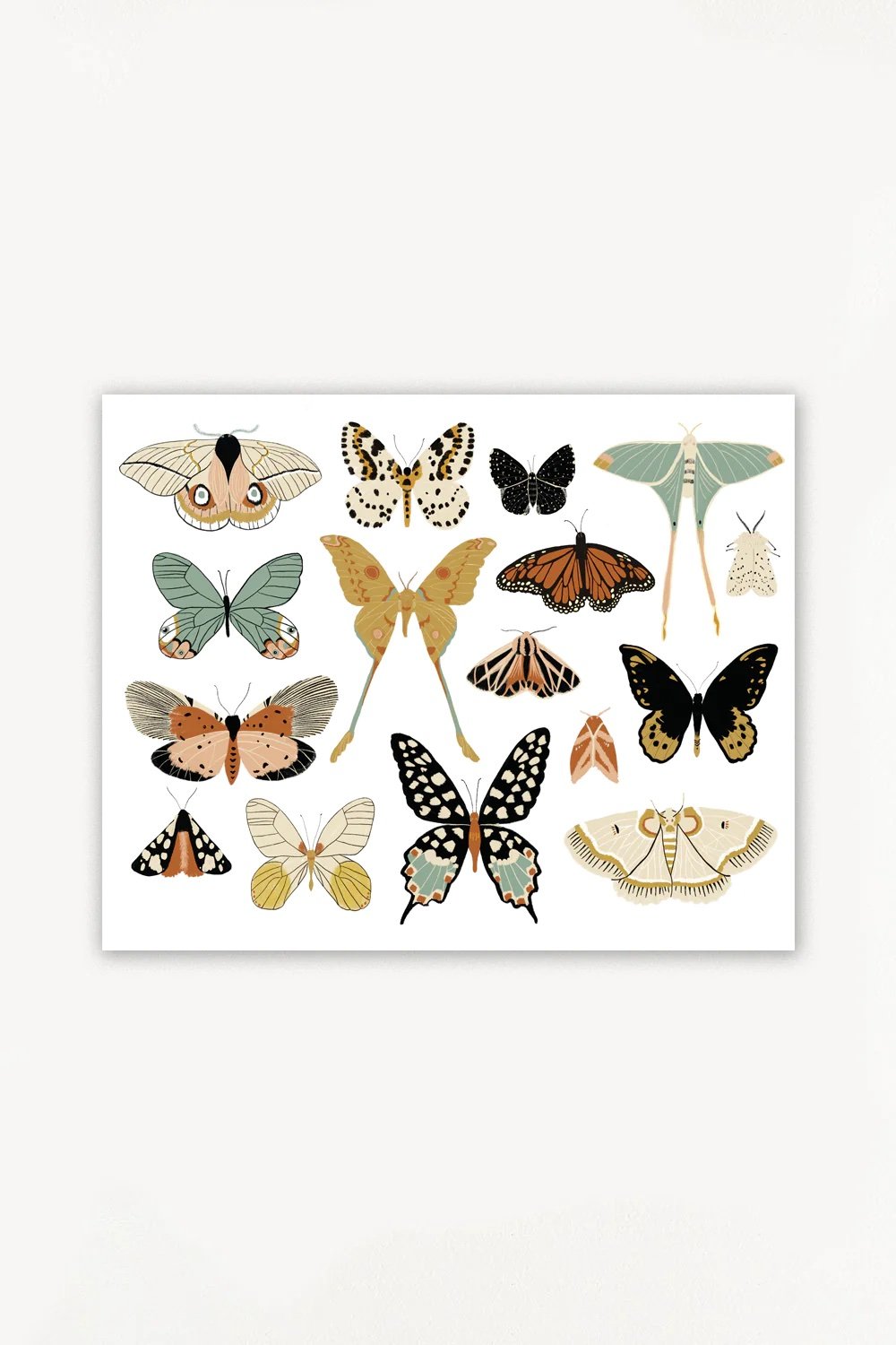 Clementine Kids - Starting at $24 - Butterfly Collector Art