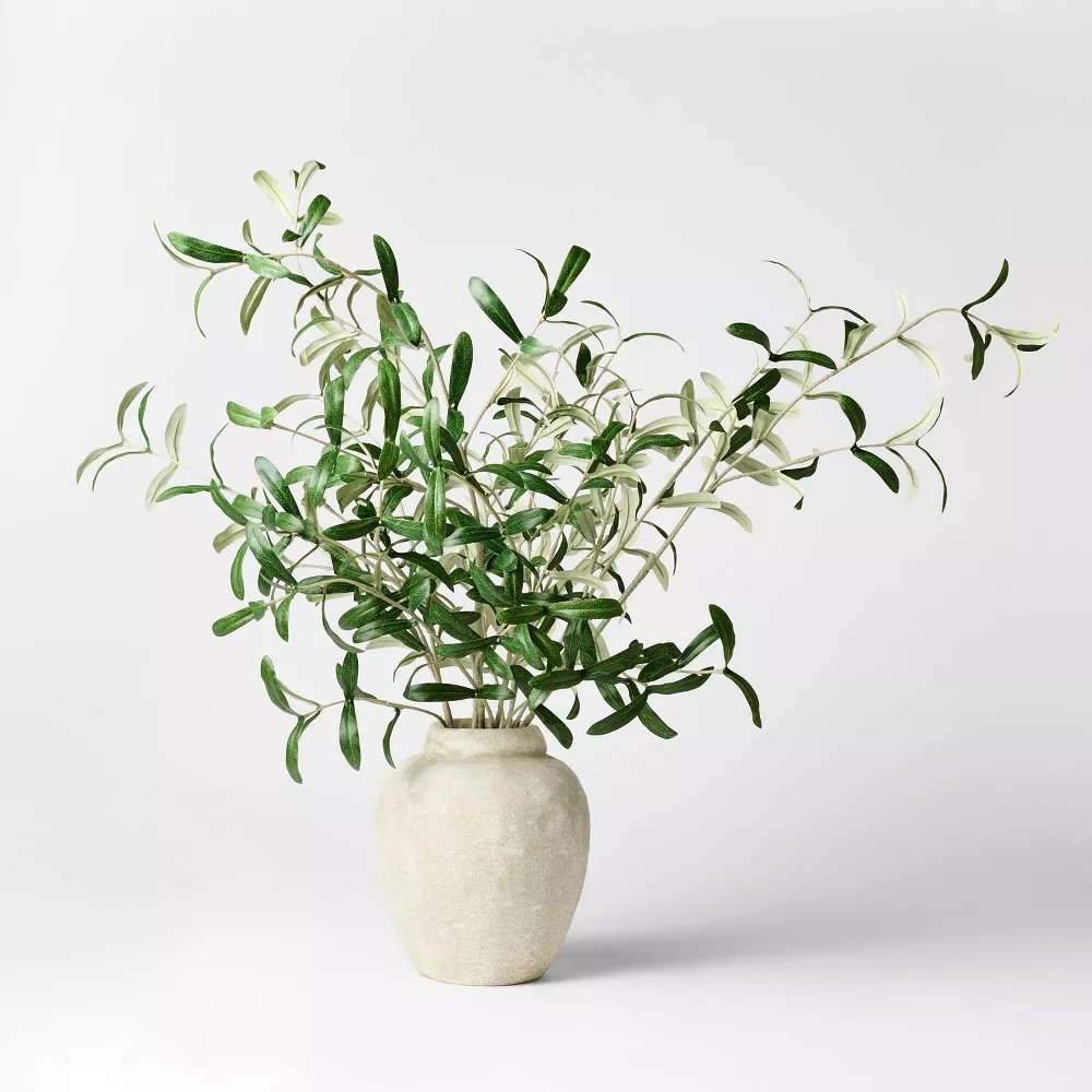 Olive Leaf Potted Arrangement - $35