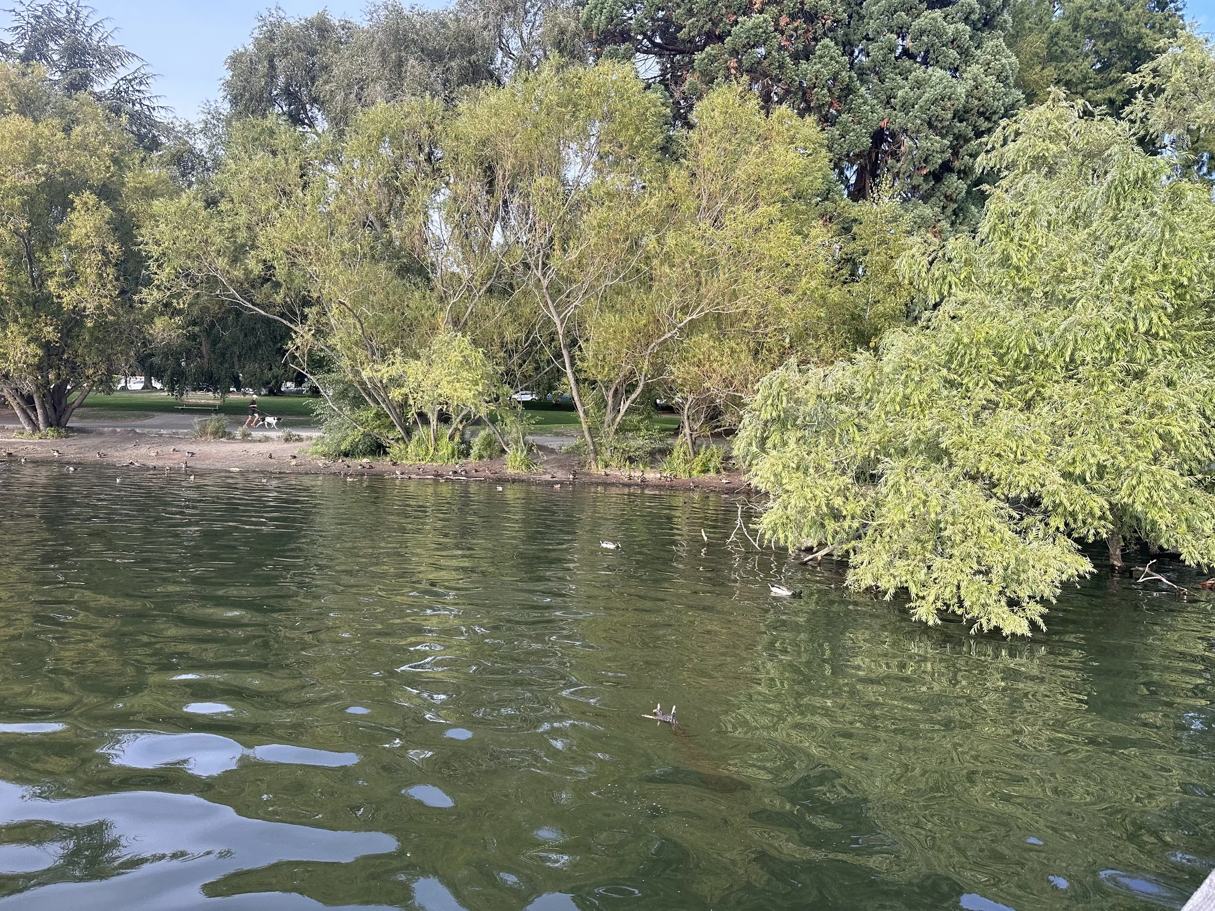 IMG_4615.jpeg
