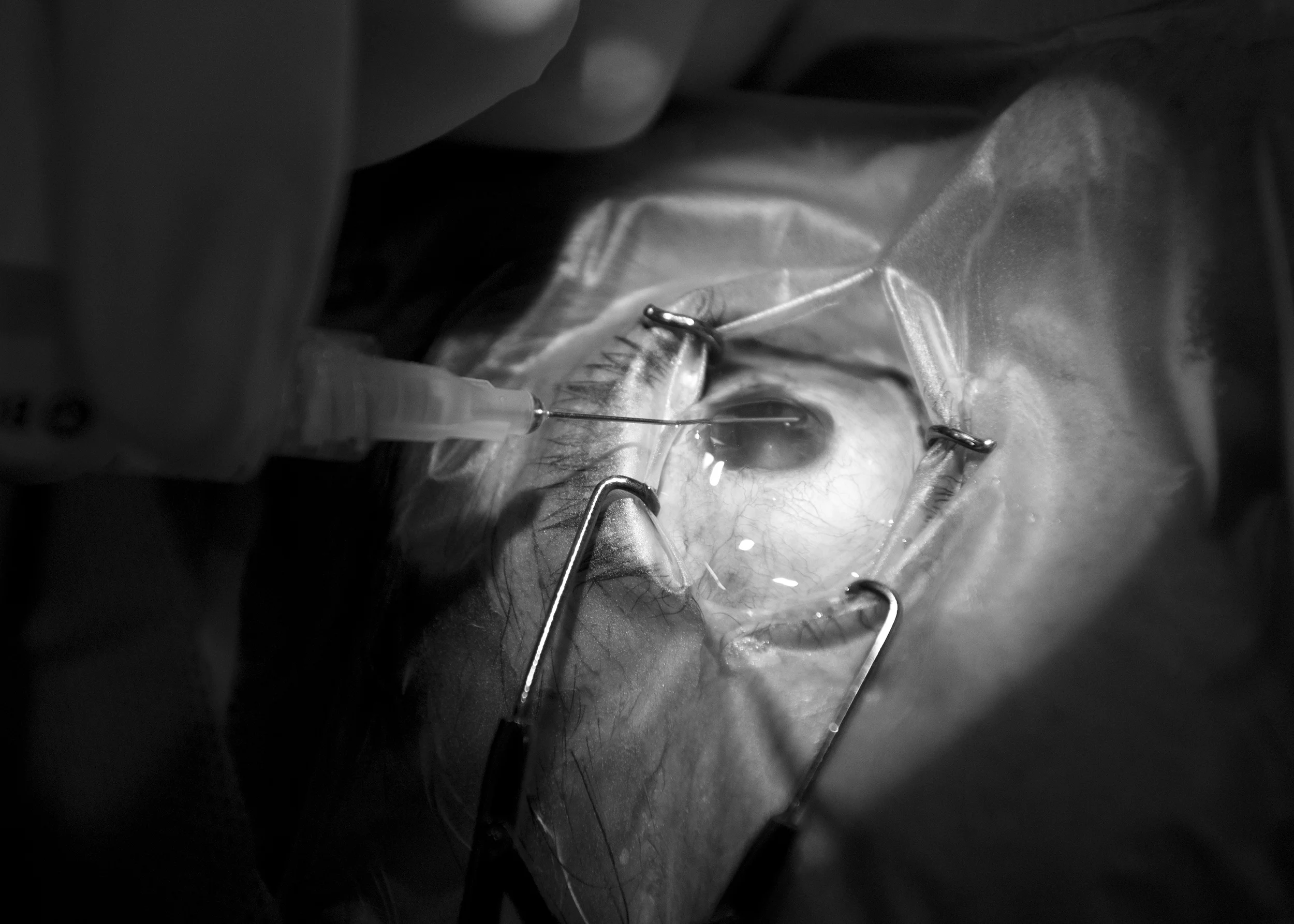 montemorelosblackwhite_34.jpg