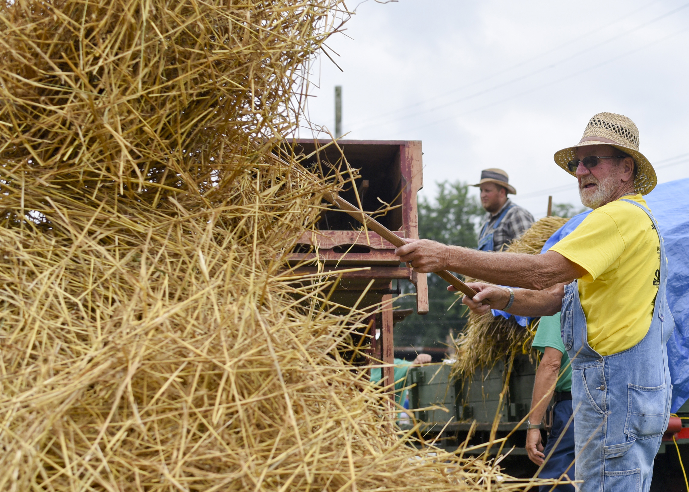 Charles Bennicoff of Trexlertown hauls wheat during the opening day of the Kutztown Folk Festival at the Kutztown Fairgrounds on July 1, 2017.