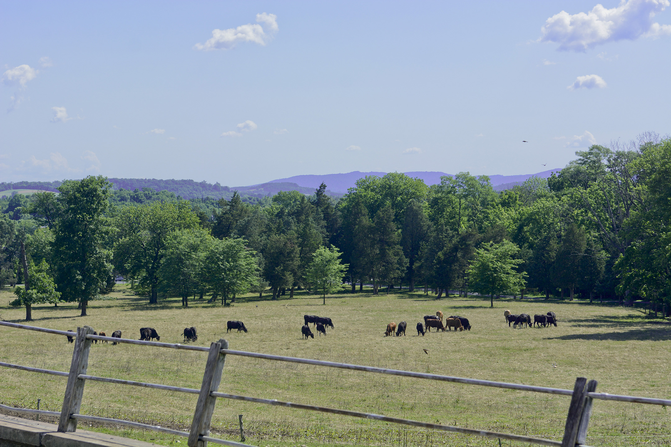 The dairy farm, purchased by the family in 1929, was put on the National Register for Historic Places in 1992.