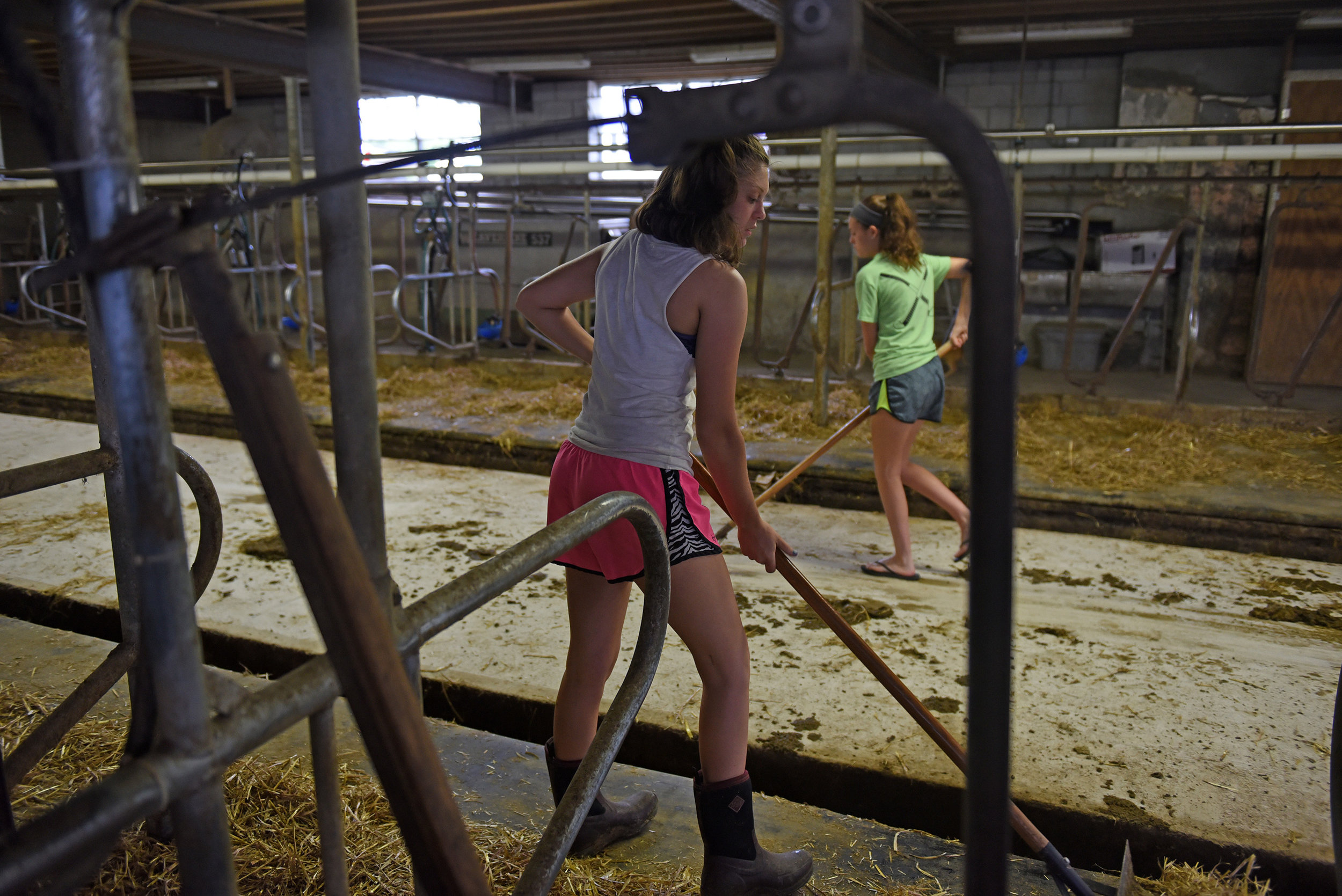 Morgan (front) and Megan Krick sweep up in between one set of cows getting milked and the second coming in for milking at the Krick Family Farm in Hamburg.