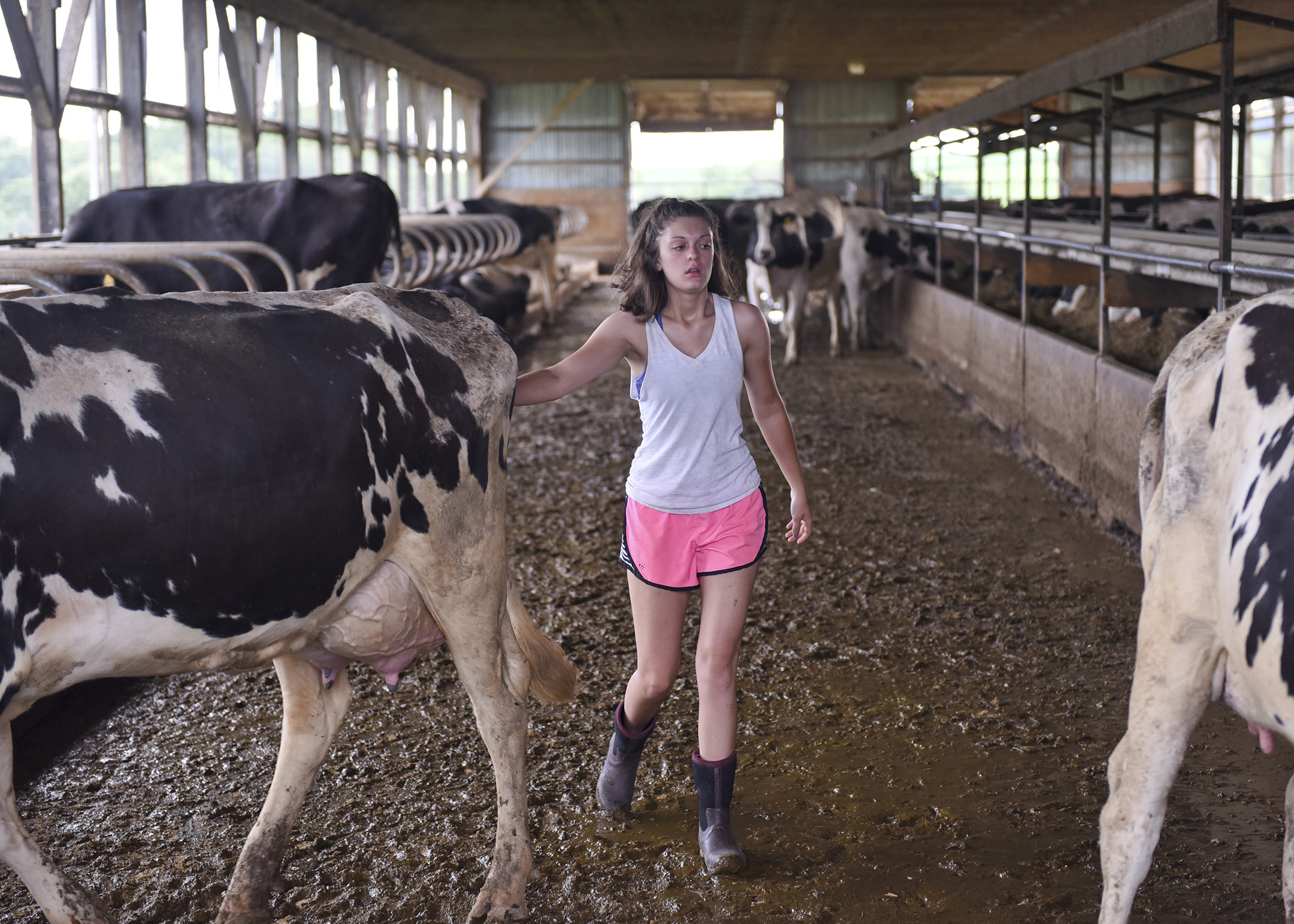  Morgan Krick finishes counting the dairy cows at the Krick Family Farm in Hamburg. Morgan is currently in her second year studying agricultural business at the University of Delaware. 