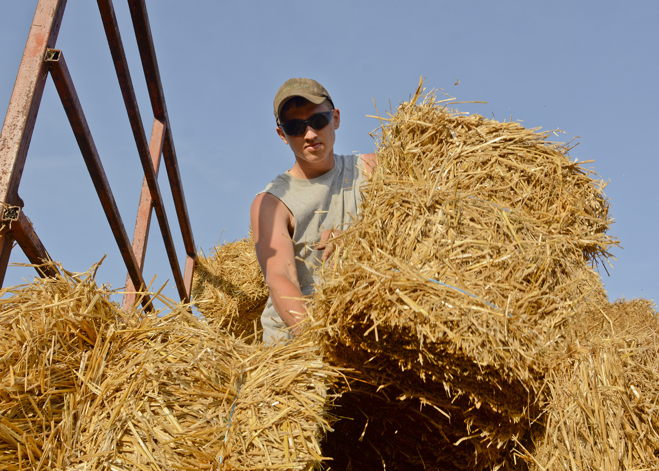 Sam Angstadt small bales at one of their properties in Kutztown on July 10, 2017. Angstadt graduated last year from Fleetwood High School.
