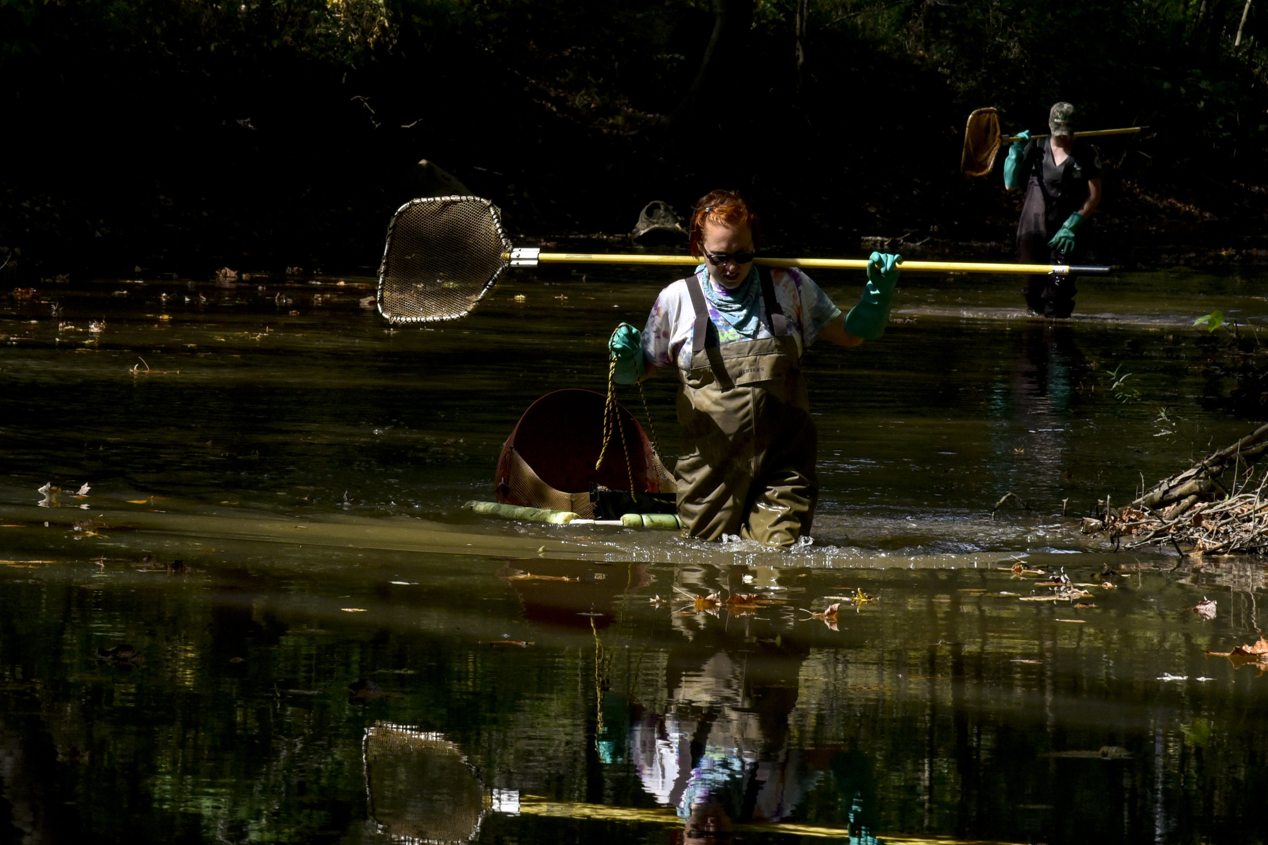 electrofishing2_7.jpg