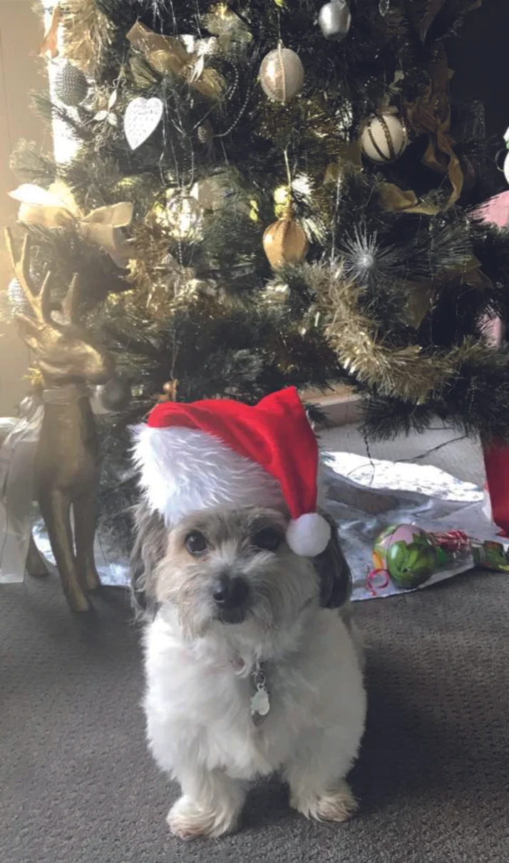 IMG_4709.PNG LUCY.jpg