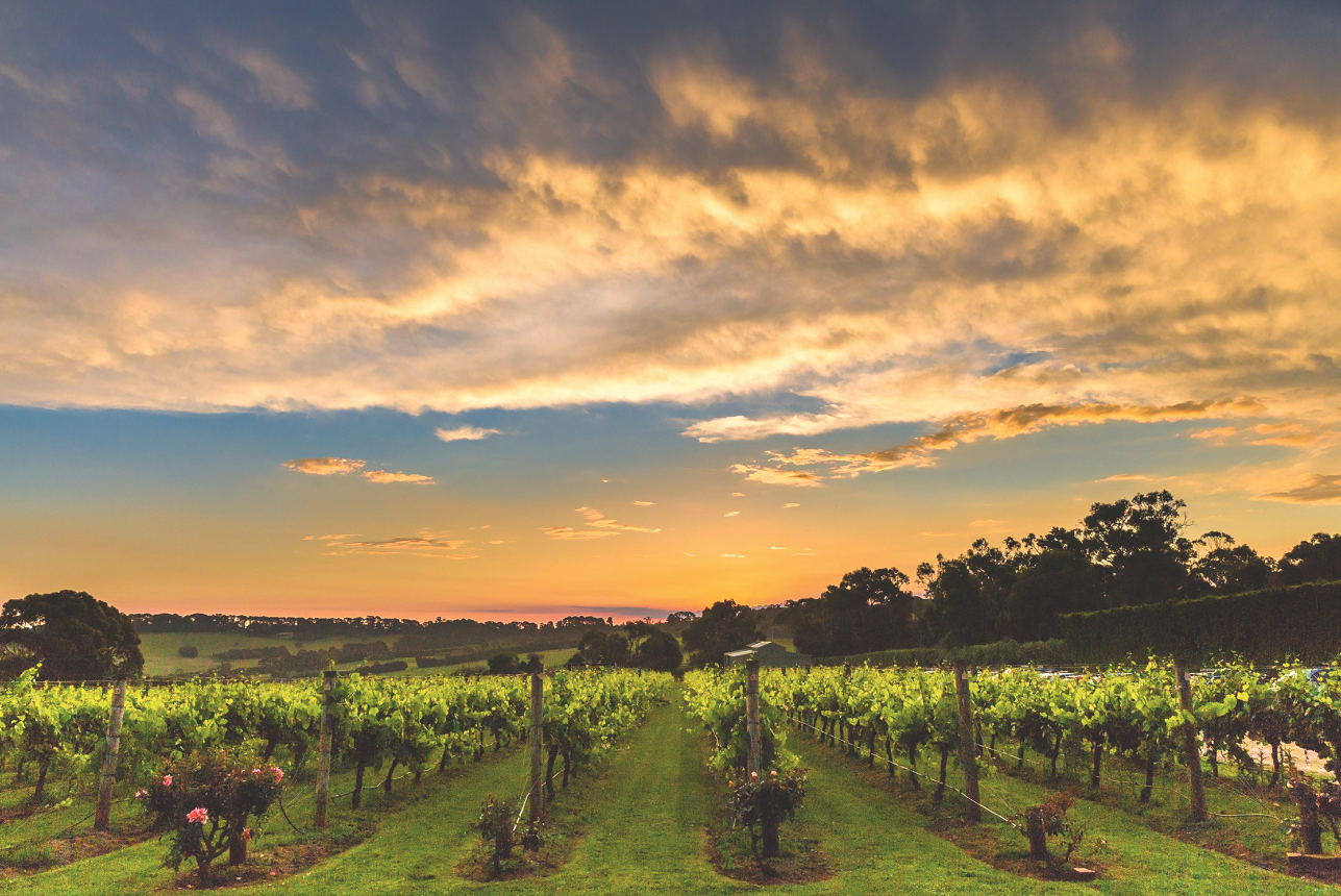 Screen Shot 2019-11-27 at 10.40.50 am.png