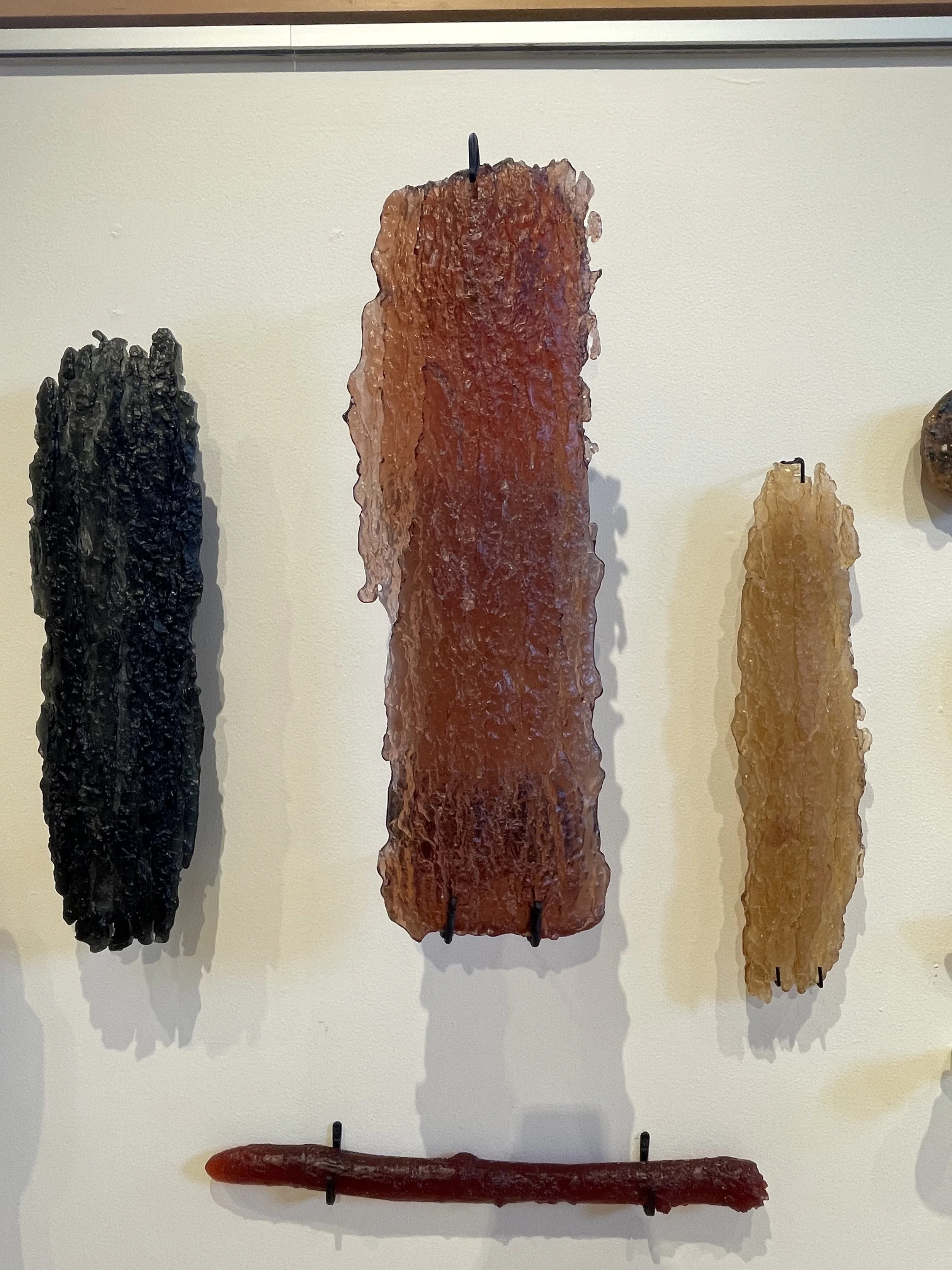 In Conversation With The Forest