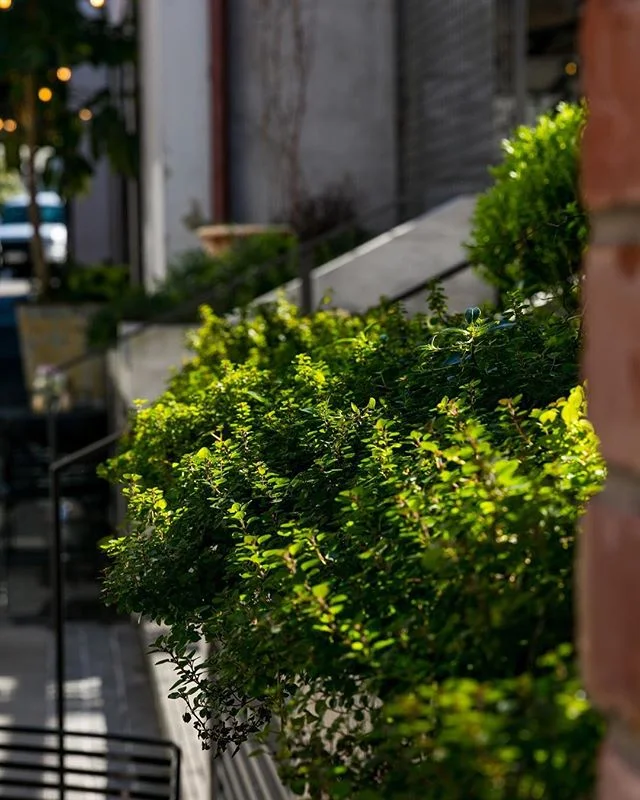 Here&rsquo;s hoping the sun breaks through in time for lunch in the courtyard