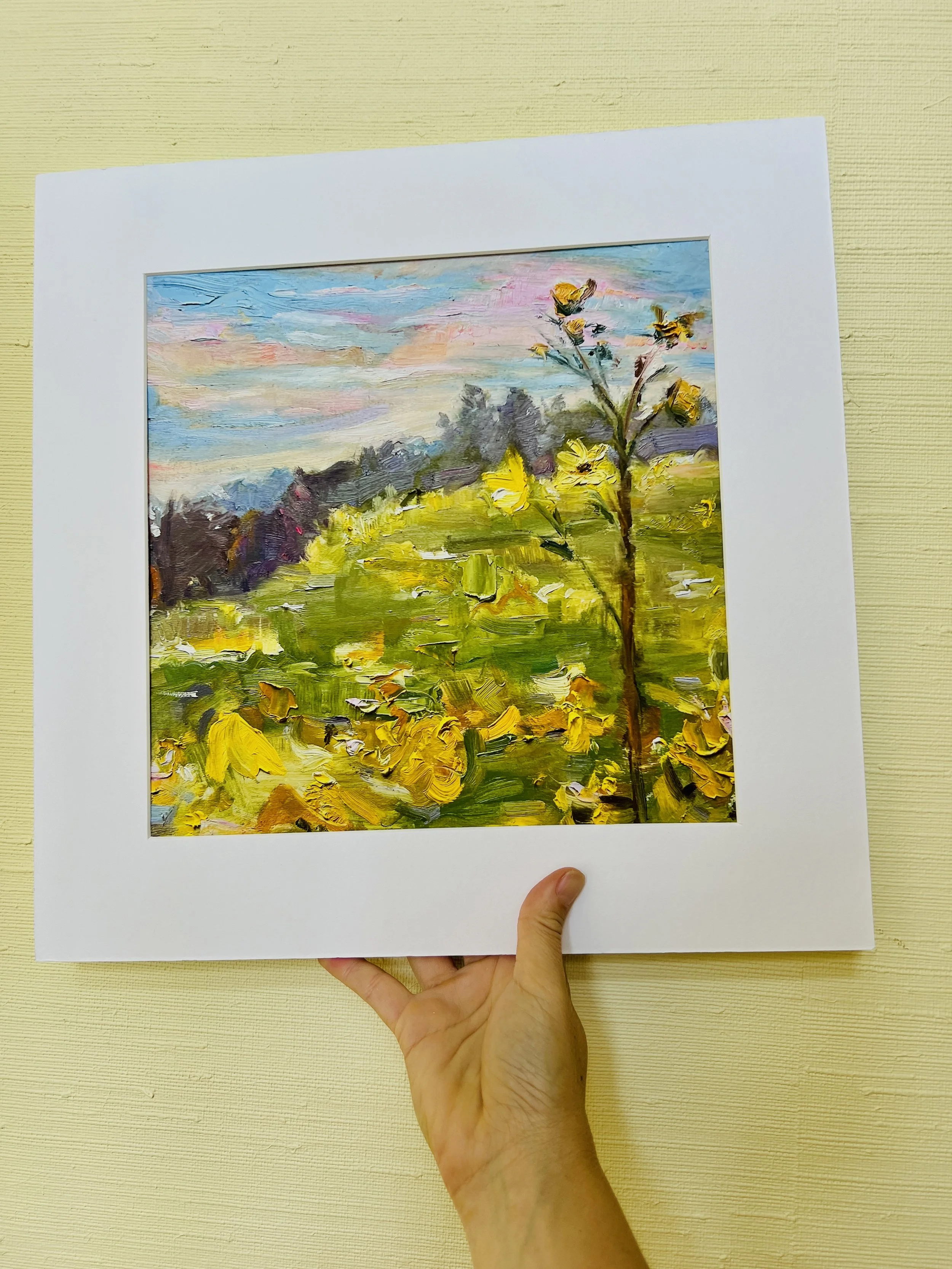 Fields of Yellow- Limited Edition