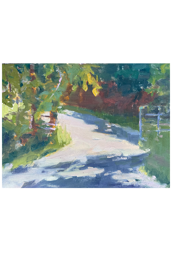 ShadowsPassing-12x16.png