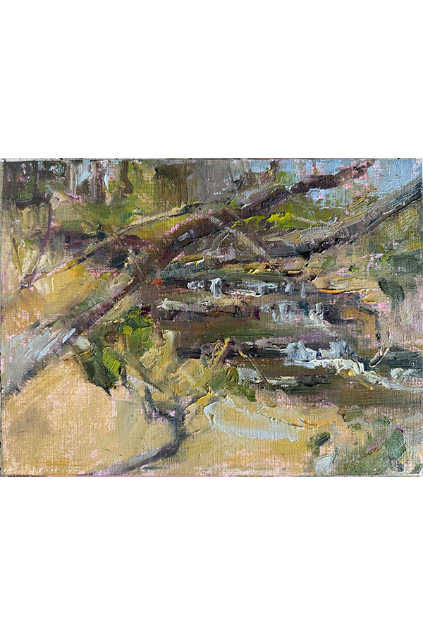 Everything Comes to the Water (Radnor Lake)