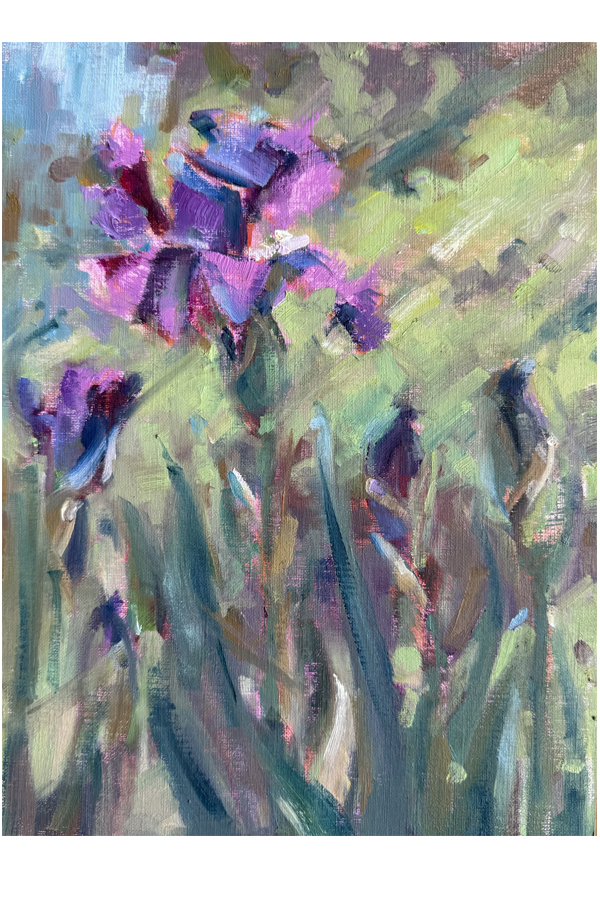 iris-9x12-forsite.png
