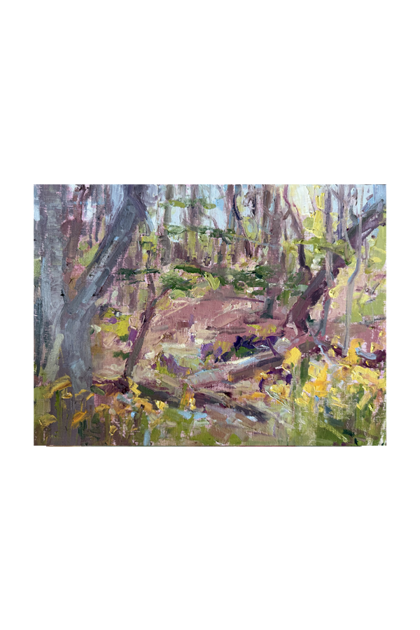 Forest_9x12_pleinairradnor-forsite.png