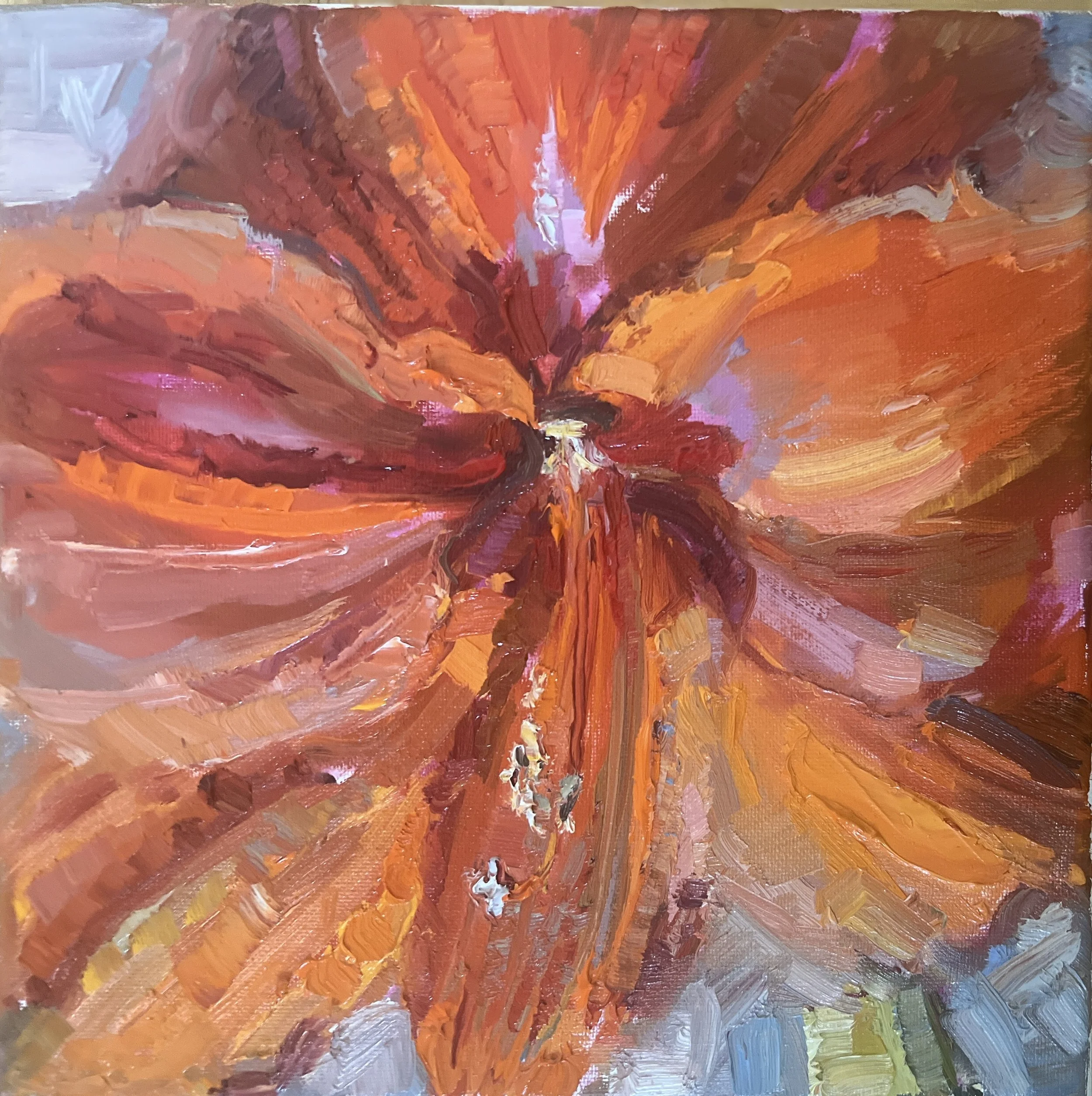 Day1-Amaryllis-ShebloomedAgain-10x10.jpg