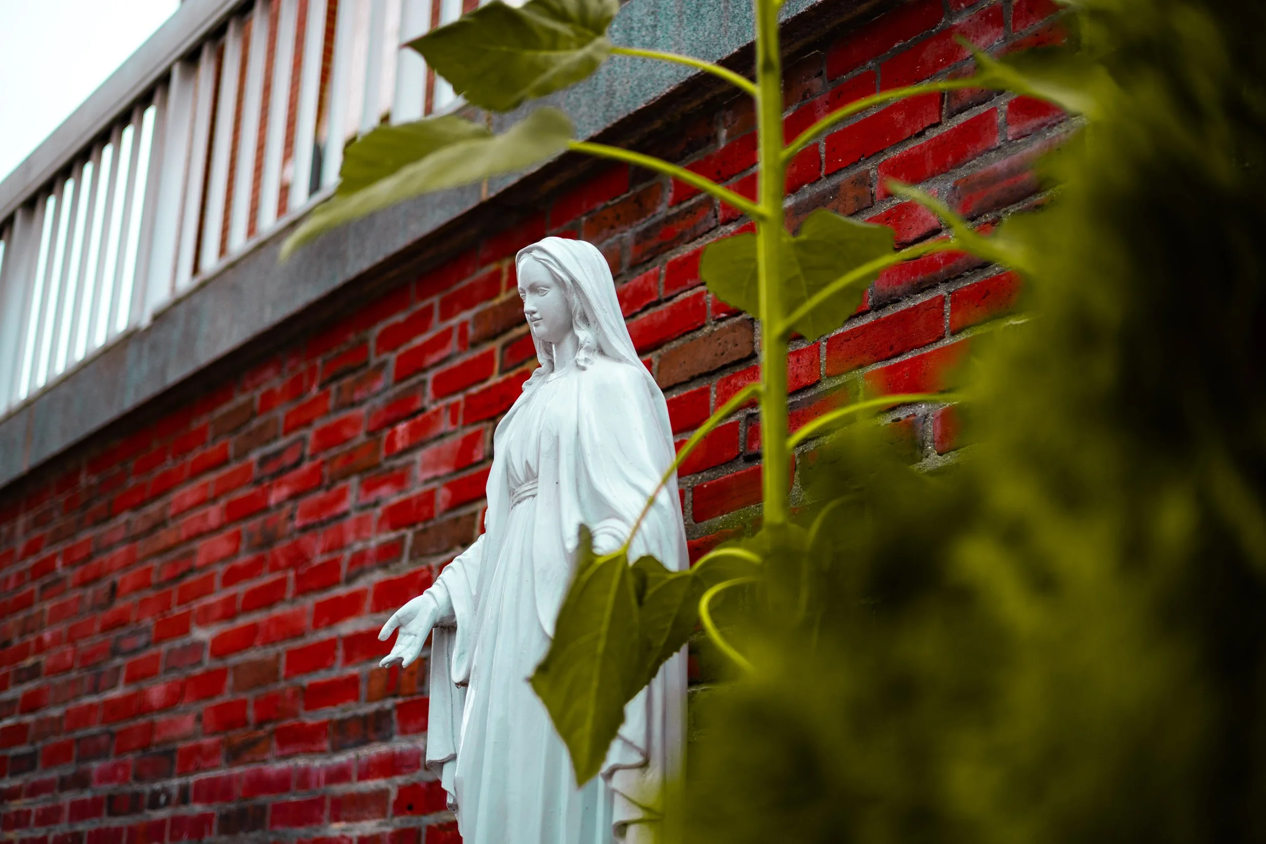 October 28, 2025 (Copy)