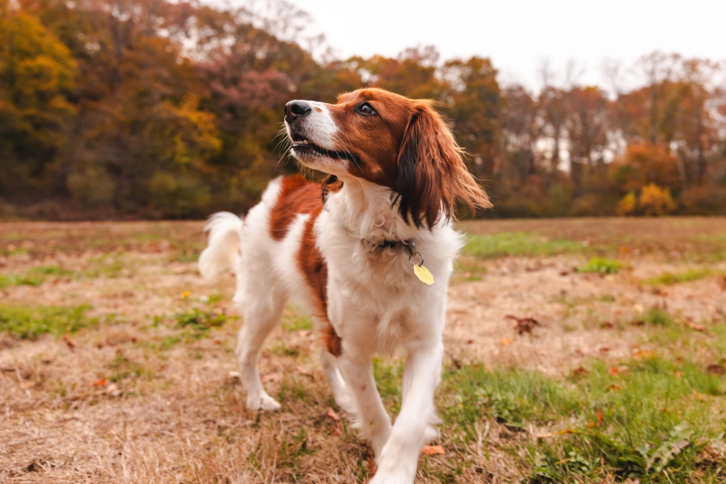 November 3, 2025 (Copy)