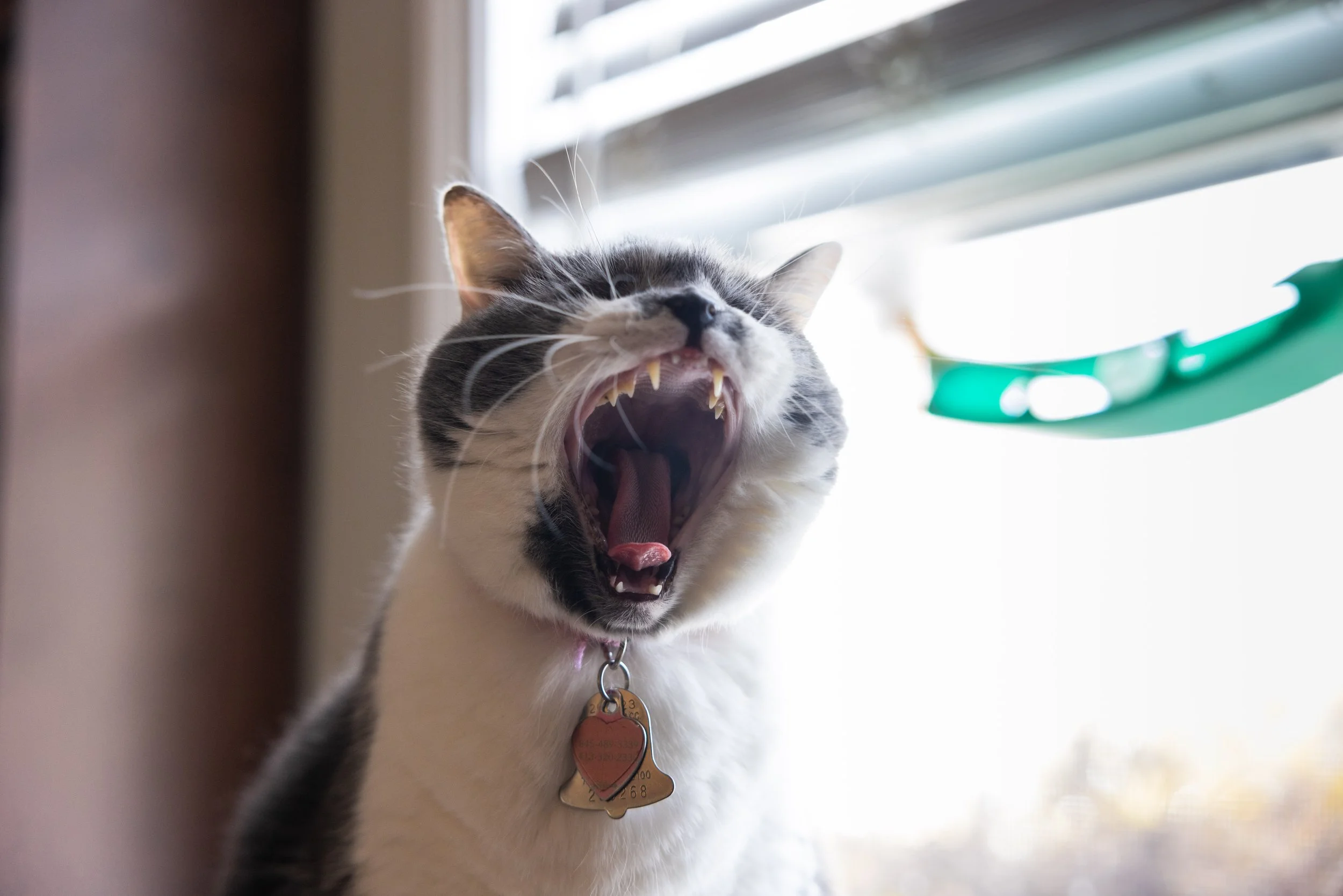 November 28, 2025 (Copy)