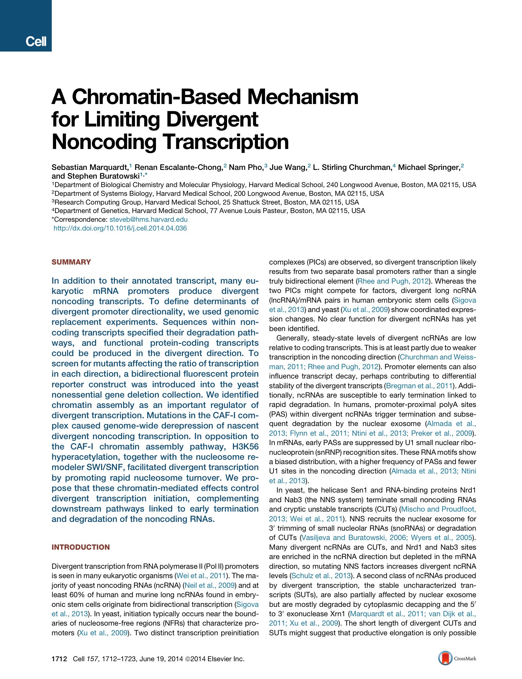 A chromatin-based mechanism for limiting divergent noncoding transcription.