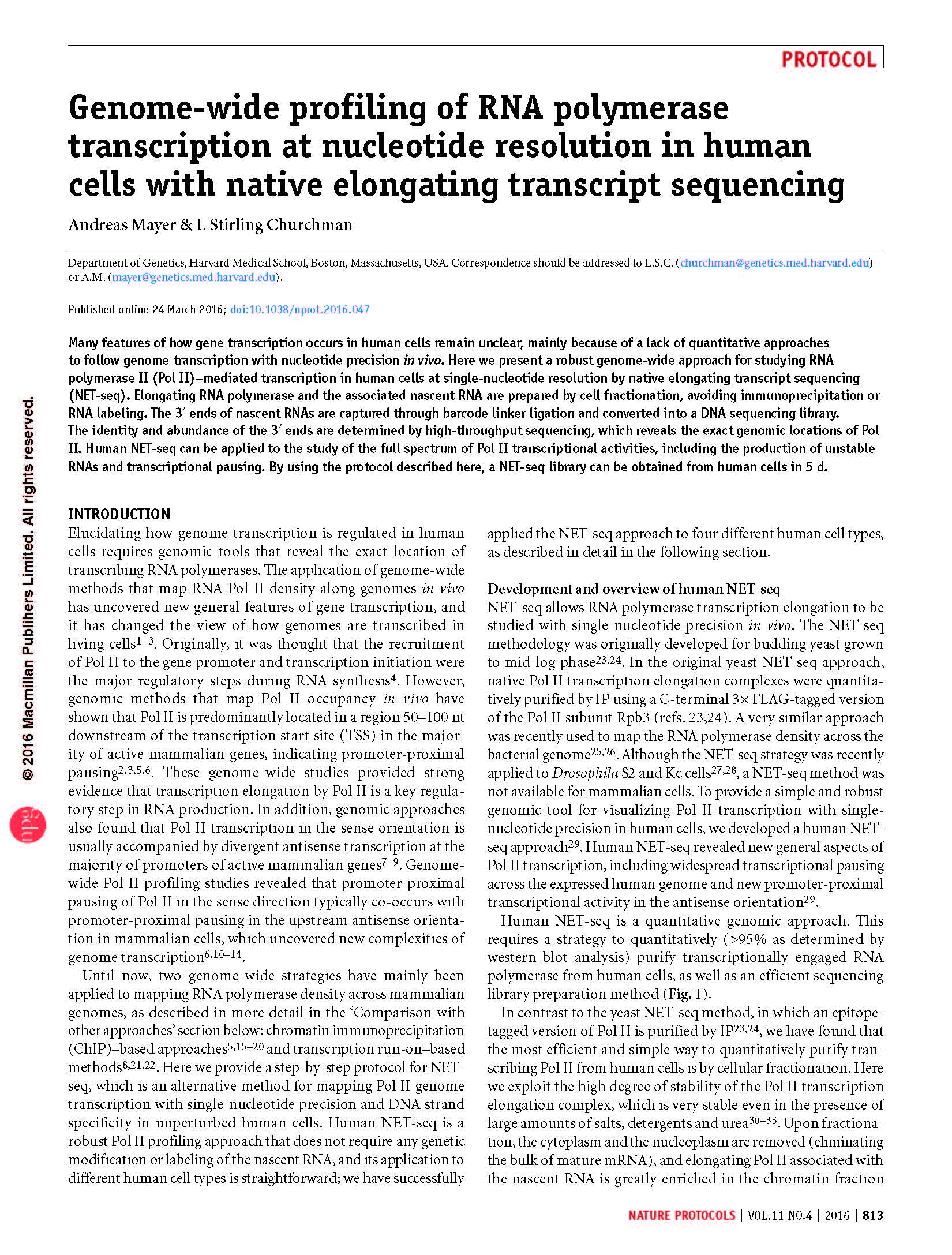 Genome-wide profiling of RNA polymerase transcription at nucleotide resolution in human cells with native elongating transcript sequencing