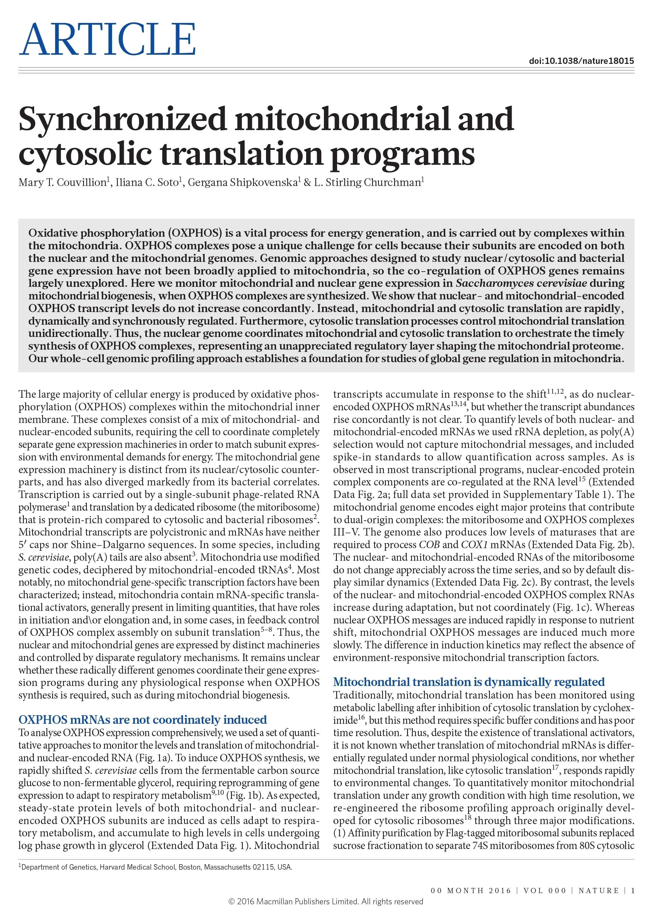 Synchronized mitochondrial and cytosolic translation programs