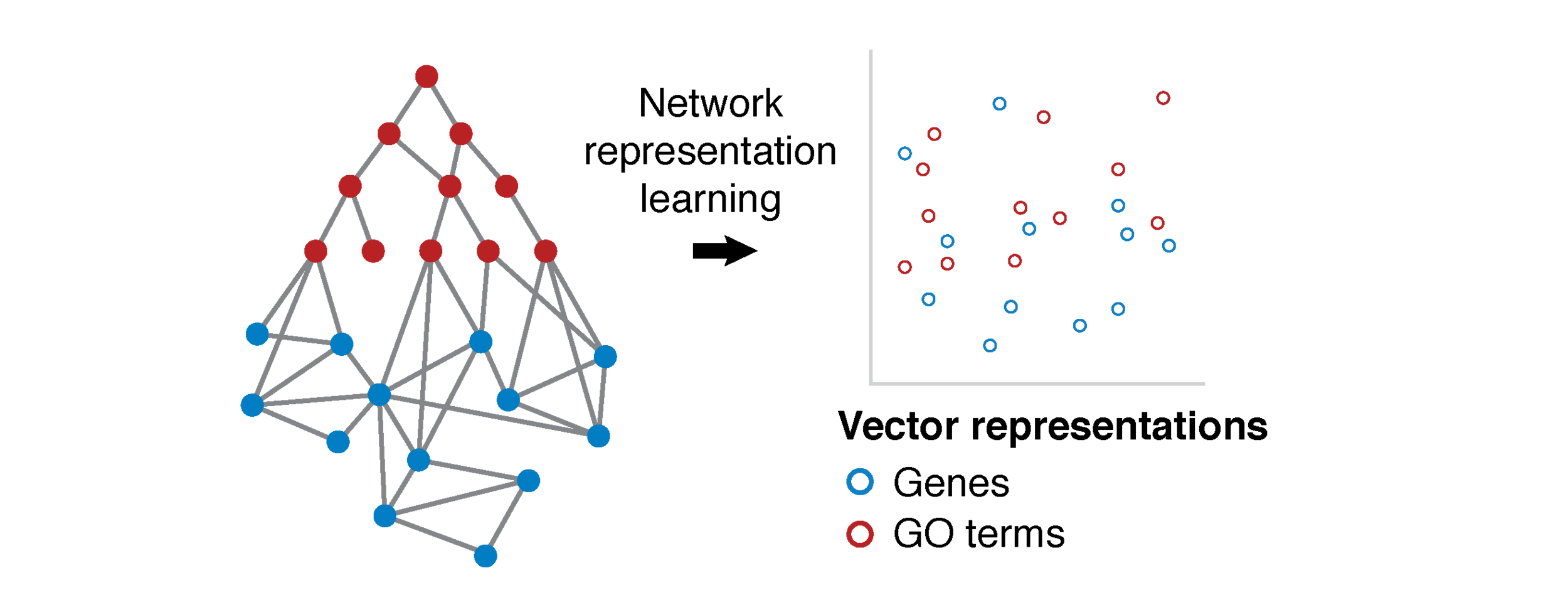 Fig1_schema7_website3-01.png