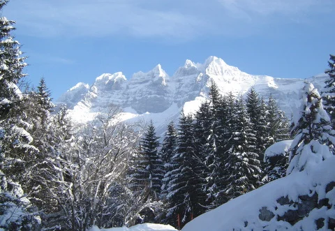 Janvier05.jpg