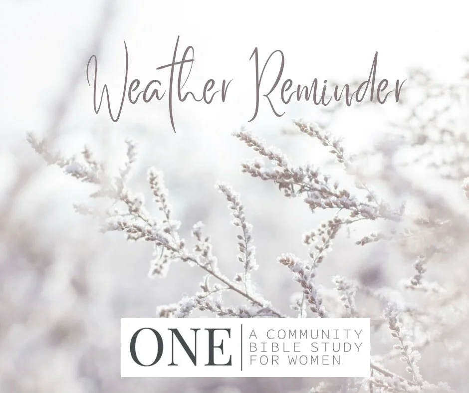 ❄️ We follow the West Linn/Wilsonville School District for weather-related closures and delays. If the district announces a 2-hour delay or school closure, ONE will not meet that day. Stay safe and warm!