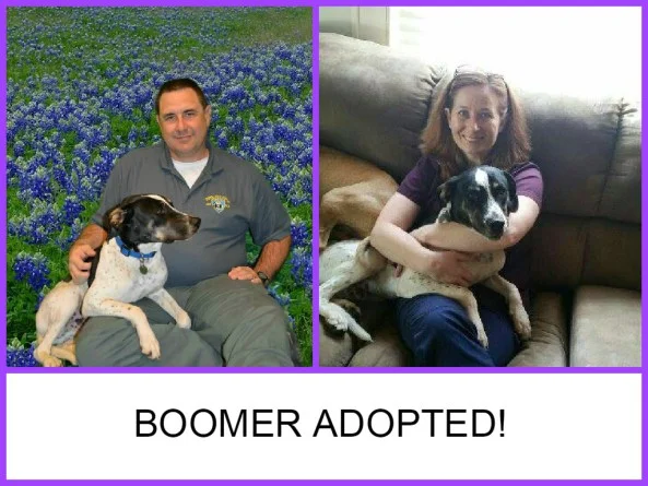 Boomer